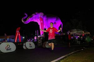 BIB: 
                            <button type="button" onclick="openModal(26543914)" class="btn btn-primary btn-sm float-right btn-popup" data-toggle="modal" data-target=".modal-high-quality">
                        <i class="fas fa-shopping-cart"></i> Add to Cart
                    </button>
                                            <button type="button" onclick="isThisMe(26543914, true)" class="btn btn-success btn-sm float-right btn-popup btn-isme hidden" data-toggle="tooltip" data-placement="bottom" title="นี่คือรูปของคุณใช่ไหม คลิกที่นี่เพื่อเอาเข้าอัลบั้ม">
                        <i class="fas fa-plus"></i> Add to album
                    </button>
                    <button type="button" onclick="isThisMe(26543914, false)" class="btn btn-warning btn-sm float-right btn-popup btn-isnotme hidden">
                        <i class="fas fa-ban"></i> Remove from album
                    </button>